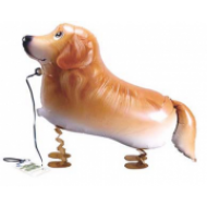 Golden Retriever hund walking folie ballon 29" (u/helium)